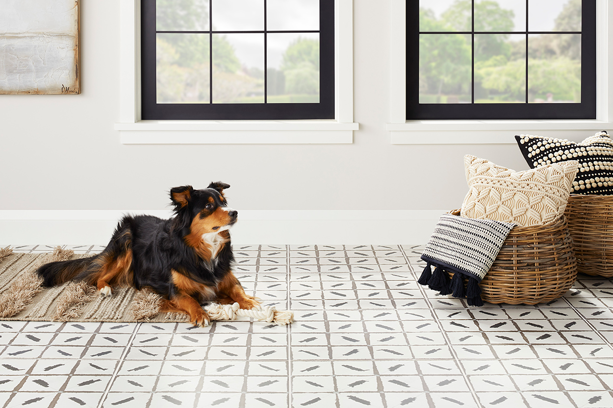 The Tile Shop-Ikat Dog Room